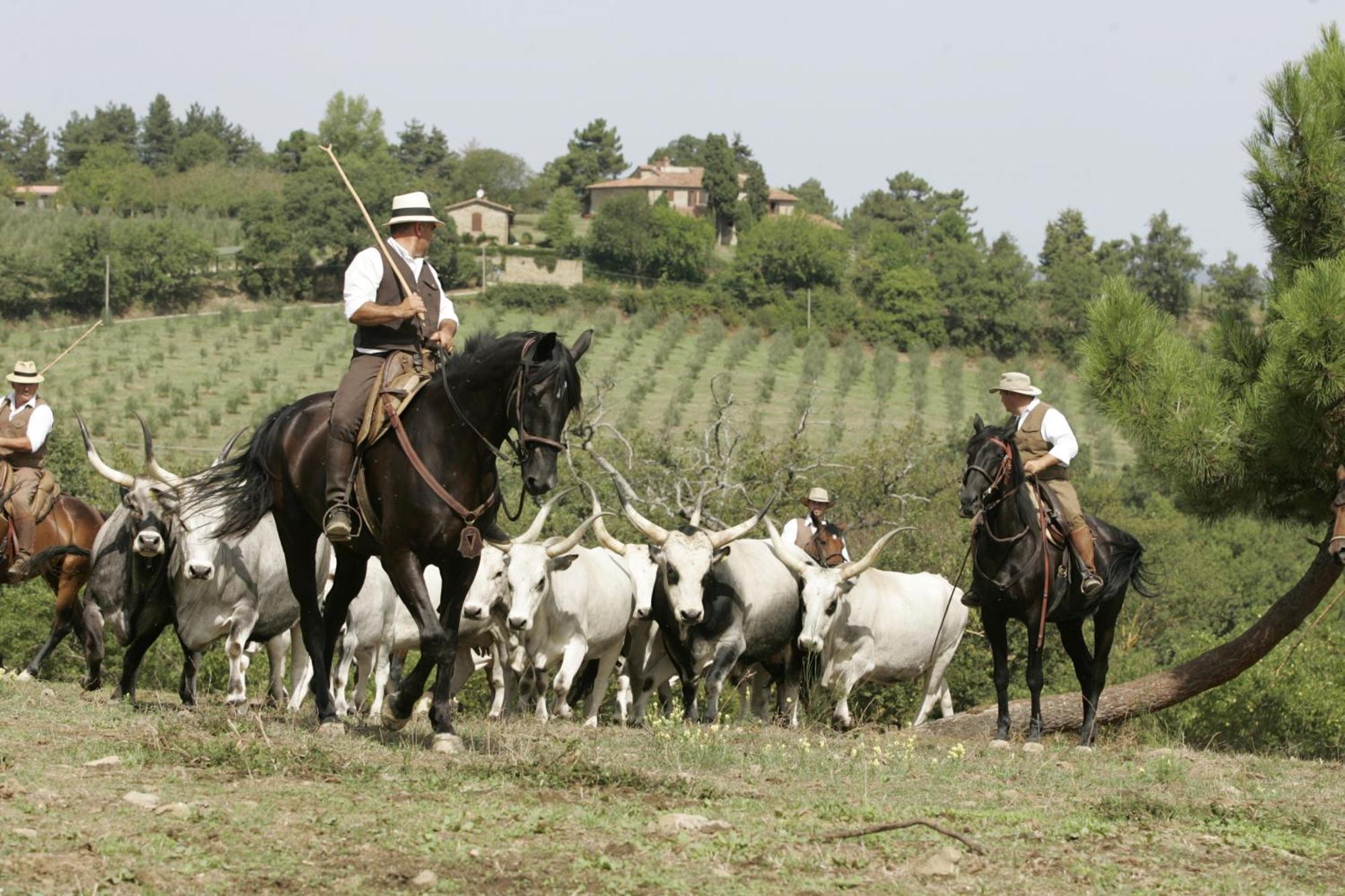 Agriturismo La Forra Каврилья Экстерьер фото