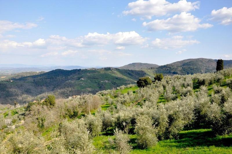 Agriturismo La Forra Каврилья Номер фото